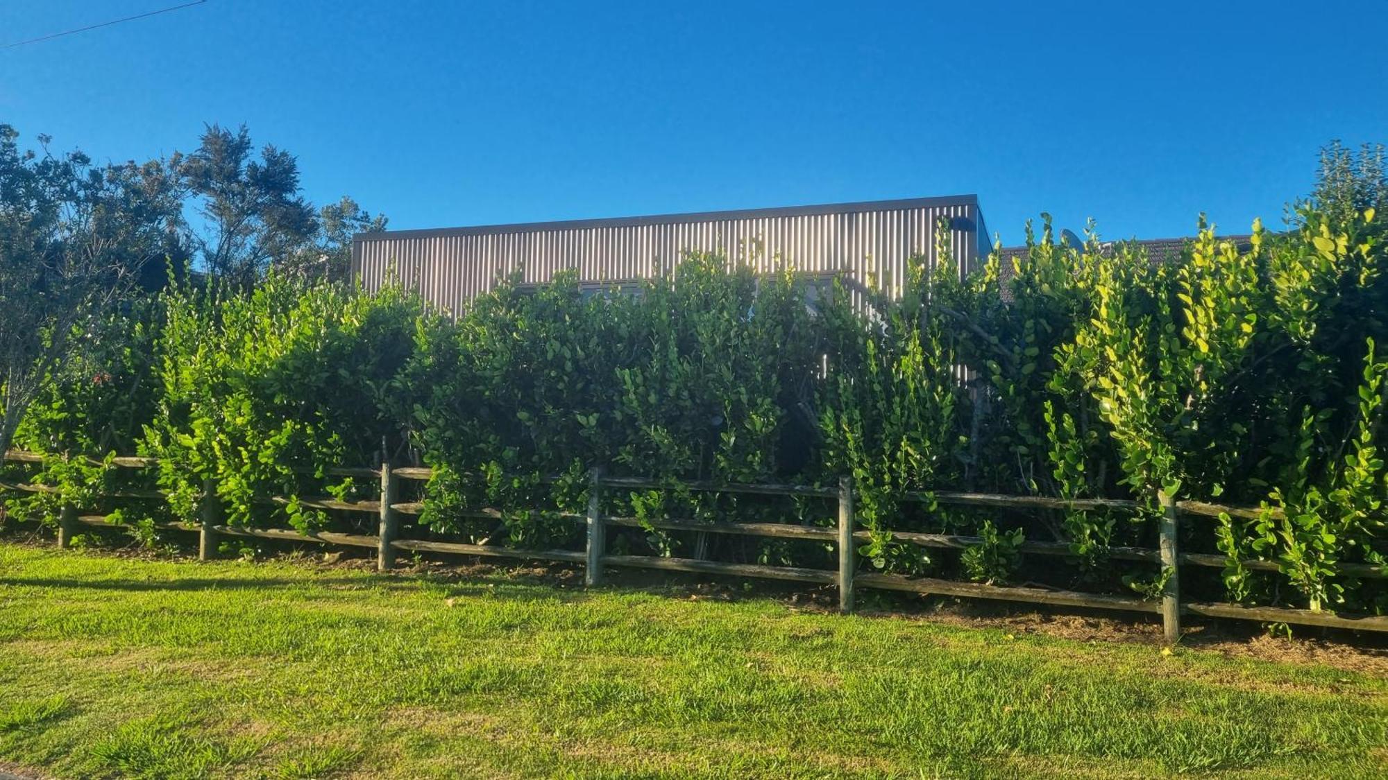 Mangawhai Room And Studio Exterior photo